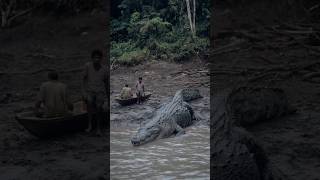 Download lagu Berusia 70 Tahun & Panjang 25 Kaki: Buaya 'Setan' Papua Nugini mp3