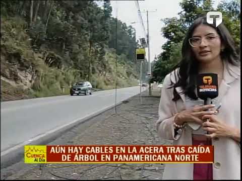 Aún hay cables en la acera tras caída de árbol en Panamericana Norte