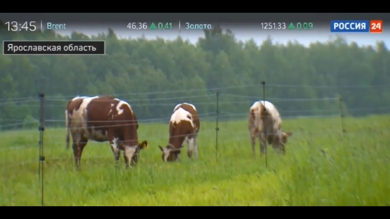 Репортаж телеканала Россия о нашей ферме