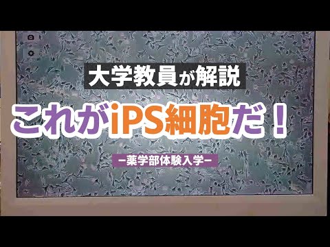 表現文化学科 これがiPS細胞だ！【体験入学＆研究室公開】