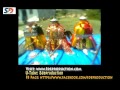 Bhagwati Tu Dena Raji Ra Syali Virender Rajput I SDe Production Presentation I