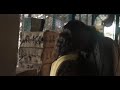 Aishwarya Rajesh Hot Liplock Unseen Liplock Scene