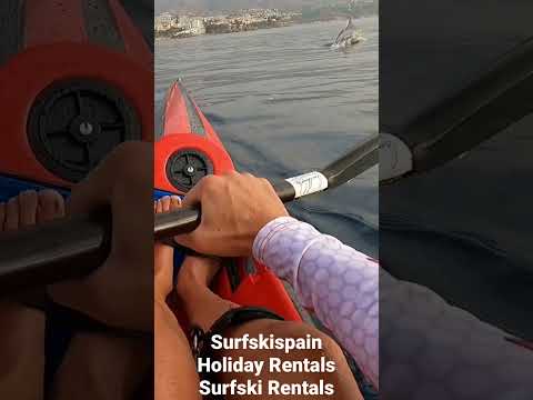 Surfski - Kayak con Delfines en Nerja