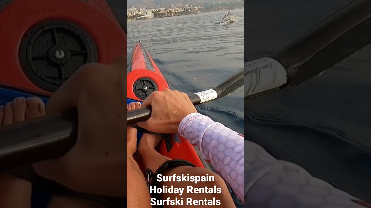 Surfski - Kayak con Delfines en Nerja