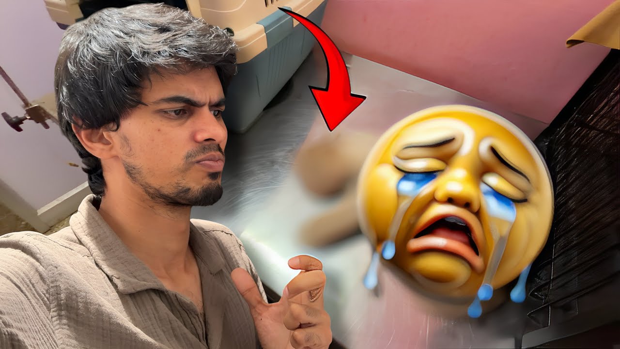 முடியல..!!🤯 OUR NEXT PET in DANGER ⚠️ 