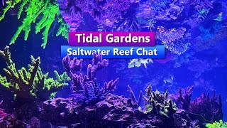 Tidal Gardens - Saltwater Reef Chat