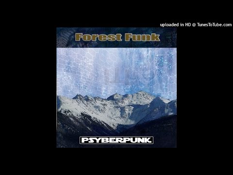 Hyper Frequencies & Psyberpunk - Rajastan