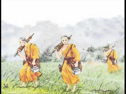สำหรับไข่แรงและบรั่นดี การรักษาที่นิยมสำหรับความอ่อนแอ