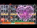 வண்டிக்காரன் சொந்த ஊரு மதுரை Echo Mix Song Dijital