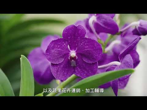 農糧業務簡介影片精華版1分鐘 中文版