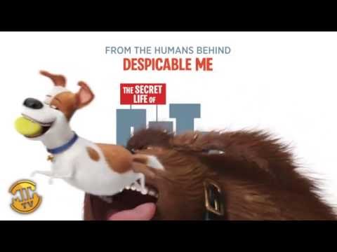 Max and Duke - The Secret Life of Pets