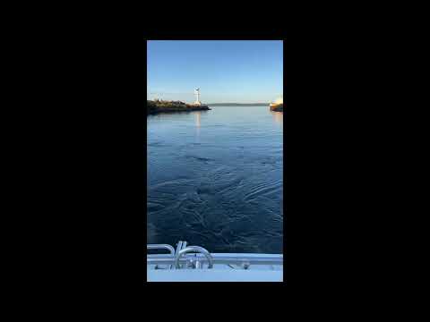 Videoklipp