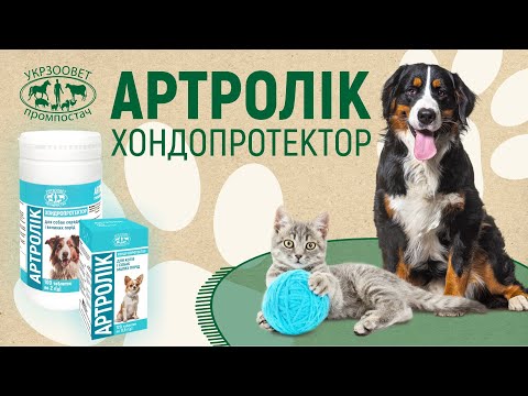 Відео превʼю