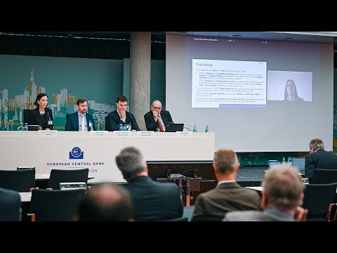 2024 ECB Annual Banking Supervision Research Conference Session 4 - Paper 10