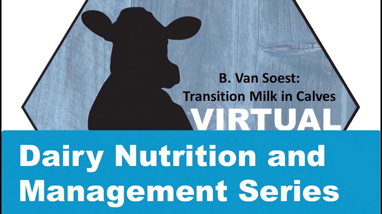 Van Soest - Effects of Transition Milk on Calves