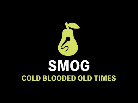 Smog - Cold Blooded Old Times (Karaoke)