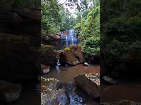 📍Salto Ostratiuk | Los Helechos, Misiones #misiones #paisajes #salto #cascada #waterfall #naturaleza