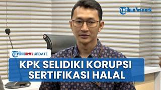 Laporan ICW Ditindaklanjuti, KPK Selidiki Dugaan Korupsi Sertifikasi Halal BGN