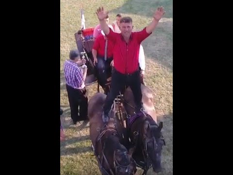 Drenovac fijakerijada 2018