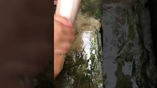 Download lagu Review pemakaian sabun kojie san 1x pemakaian mp3 Download lagu Review pemakaian sabun kojie san 1x pemakaian mp3