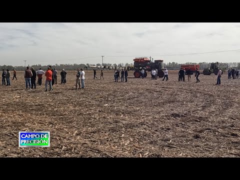 P904B3 - Campo experimental PT Farm