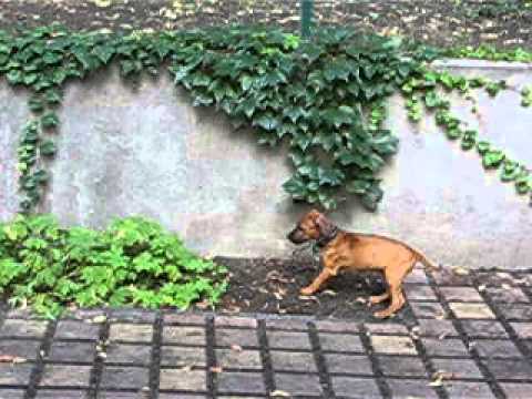 Aziza mit 3,5 Monaten