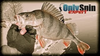Отводной поводок от андрея питерцова