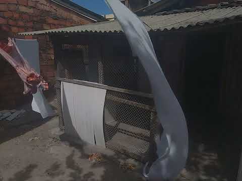 Em homenagem a Manoel Gomes da Silva ou Miguel Eloí