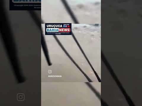 Um vídeo mostra um ônibus sendo engolido pela água em Capinzal, Santa Catarina