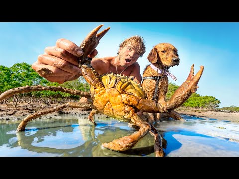 3 Days Eating ONLY What I CATCH With My Puppy (Mangrove Island)