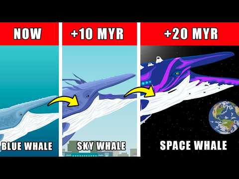 Space Whale Origin Evolution: How Space Whale Could Have Evolved