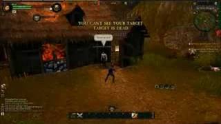 Warhammer Online: Age of Reckoning Gameplay