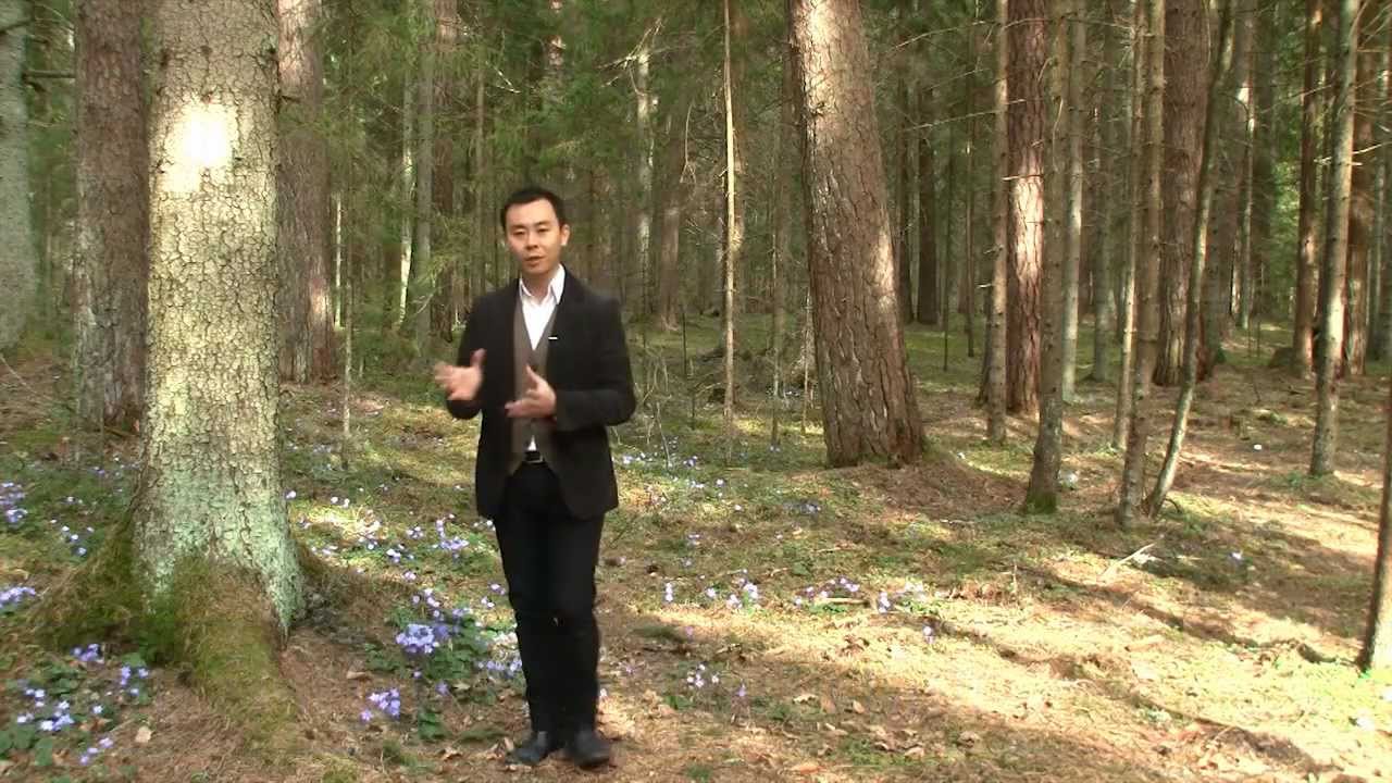 Lean Startup: resumo do livro Startup Enxuta - EmpreDig.com