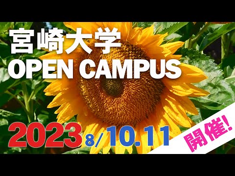 オープンキャンパス2023 開催‼