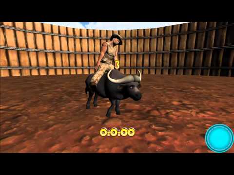 Rodeo Buffalo 3D Video