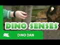Dino Dan Trek S Adventures Use Your Dino Senses Episode Promo