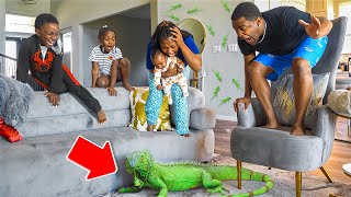 Our House Is INFESTED With LIZARDS! **PLEASE HELP**