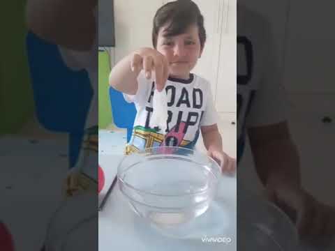 Float or Sink Experiment