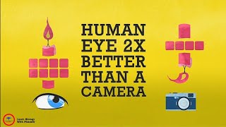 The EYE 👀| FACTS