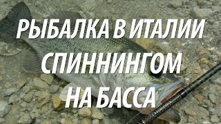 Ссылка