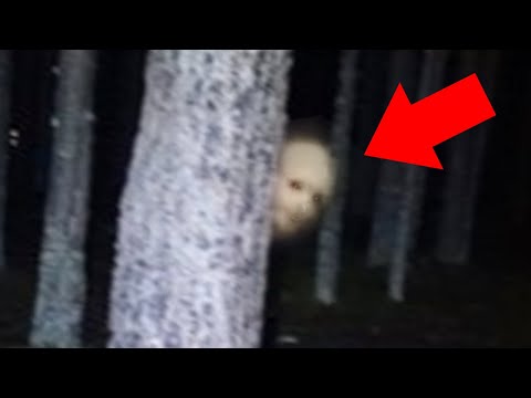 5 Scary Things Caught On Camera In The Woods Video