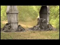 Forbidden Village 6