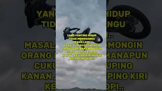 Download lagu bawa enjoy aja #katakatabijakalibinabuthalib #quotes #katakatabagus #sadstory #fromkatabijak mp3 Download lagu bawa enjoy aja #katakatabijakalibinabuthalib #quotes #katakatabagus #sadstory #fromkatabijak mp3