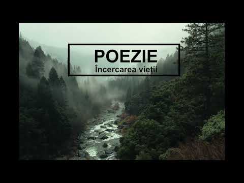 Valeria Bragari - Încercarea vieții (POEZIE Creștină)