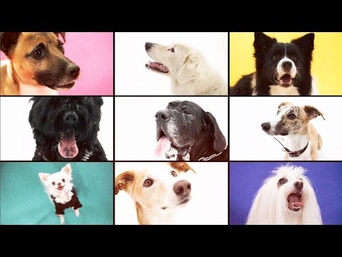 video frame placeholder