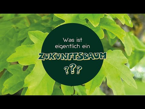 🌳 Zukunftsbäume und Gartenbaumschulen im Klimawandel 🌡️