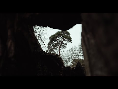 Mammal Hands – Gift from the Trees: A Short Film © Gondwana Records