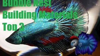 Things You Can Use For Your Betta Building A Bubble Nest