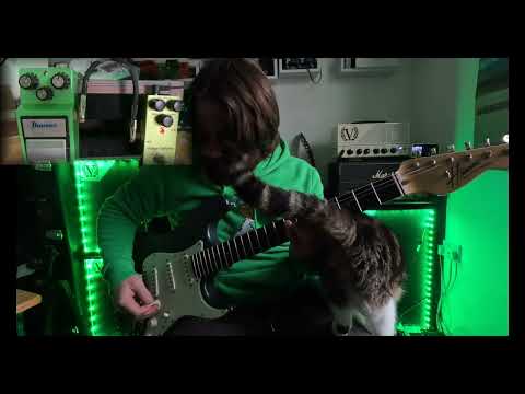 The cheapest tube-screamer I could buy.