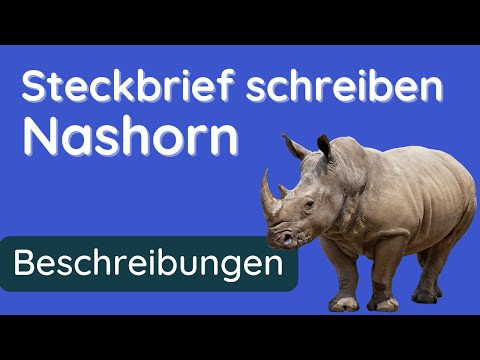 So schreibst du einen ✅  Steckbrief über ein #Nashorn